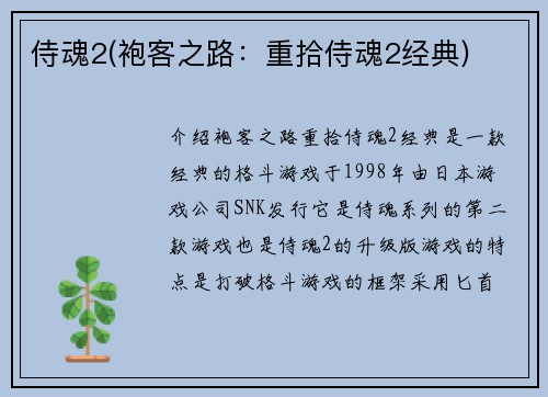 侍魂2(袍客之路：重拾侍魂2经典)